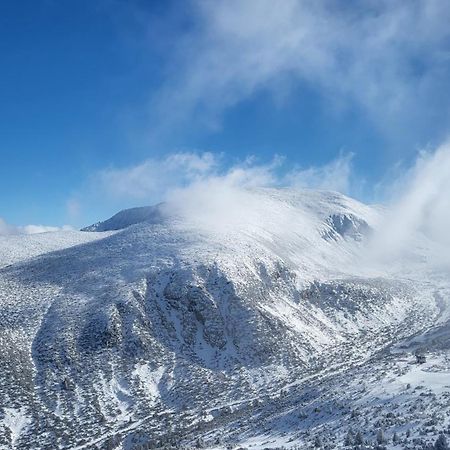 Pinewood Ang Apartment, Semiramida Borovets Hills Eksteriør billede
