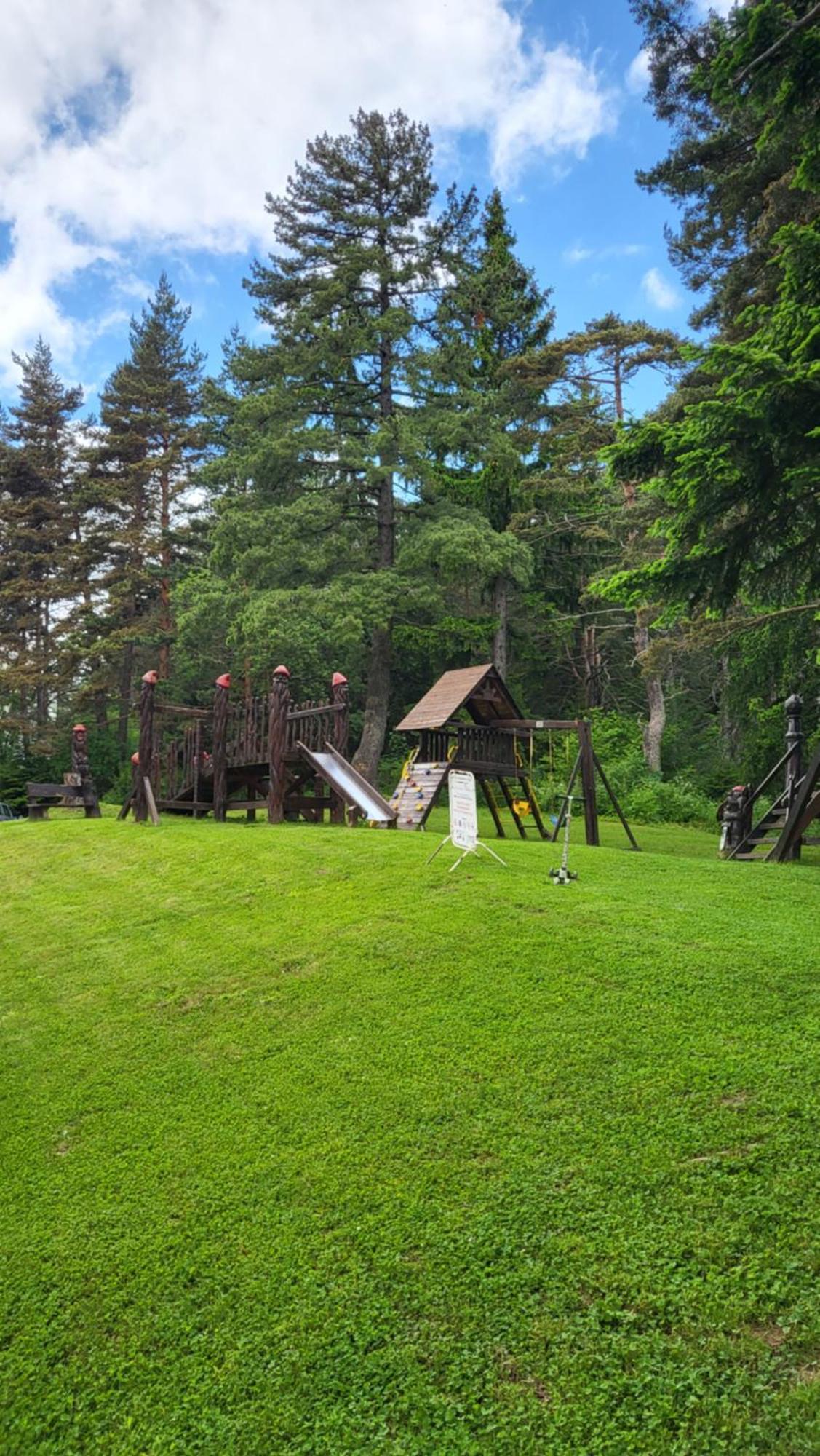 Pinewood Ang Apartment, Semiramida Borovets Hills Eksteriør billede